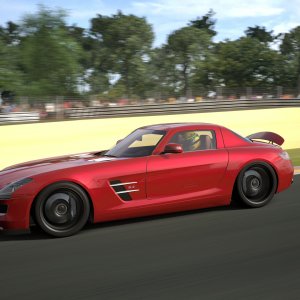 Circuit de la Sarthe 2009 (No Chicanes) _23.jpg