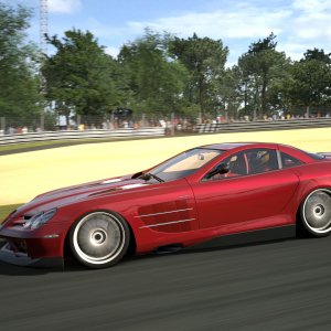Circuit de la Sarthe 2009 (No Chicanes) _30.jpg