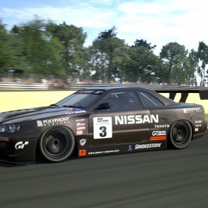 Circuit de la Sarthe 2009 (No Chicanes) _17.jpg