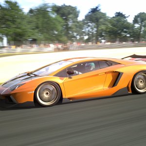 Circuit de la Sarthe 2009 (No Chicanes) _10.jpg