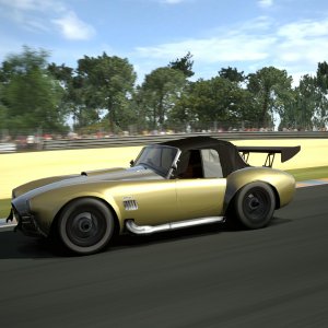 Circuit de la Sarthe 2009 (No Chicanes) _14.jpg