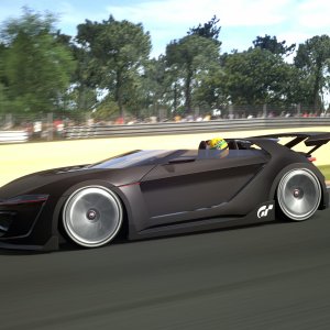 Circuit de la Sarthe 2009 (No Chicanes) _20.jpg