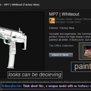 A skin in a video game