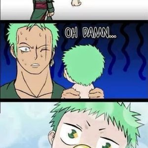 Oi Zoro - what have you done???