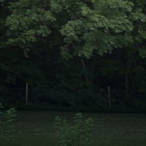Goodwood Hillclimb scenery 5.jpg