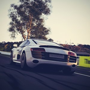 Mount Panorama Motor Racing Circuit Audi R8 V10.jpg