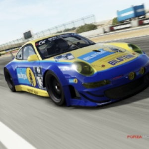 Bilstein 997GT3.PNG