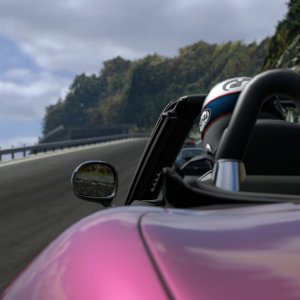 Deep Forest Raceway - BMW Z8 11.jpg