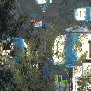 imageedit_2_6972005415.gif