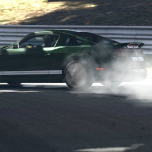 Deep Forest Raceway_1.jpg