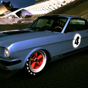 Shelby race.jpg