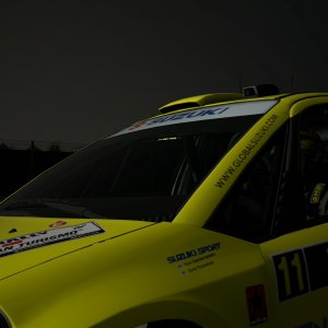 Apricot Hill SX4 Rally 18.jpg