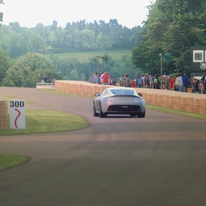 Goodwood Hillclimb 2014_3edit.jpg