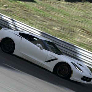 Deep Forest Raceway_3.jpg