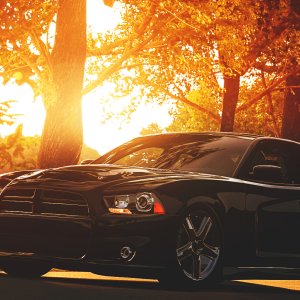 Goodwood Hillclimb 2014 SRT8 1.jpg