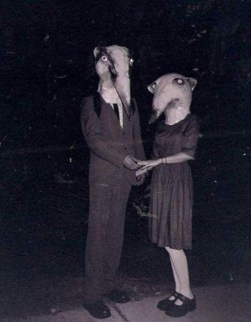 43