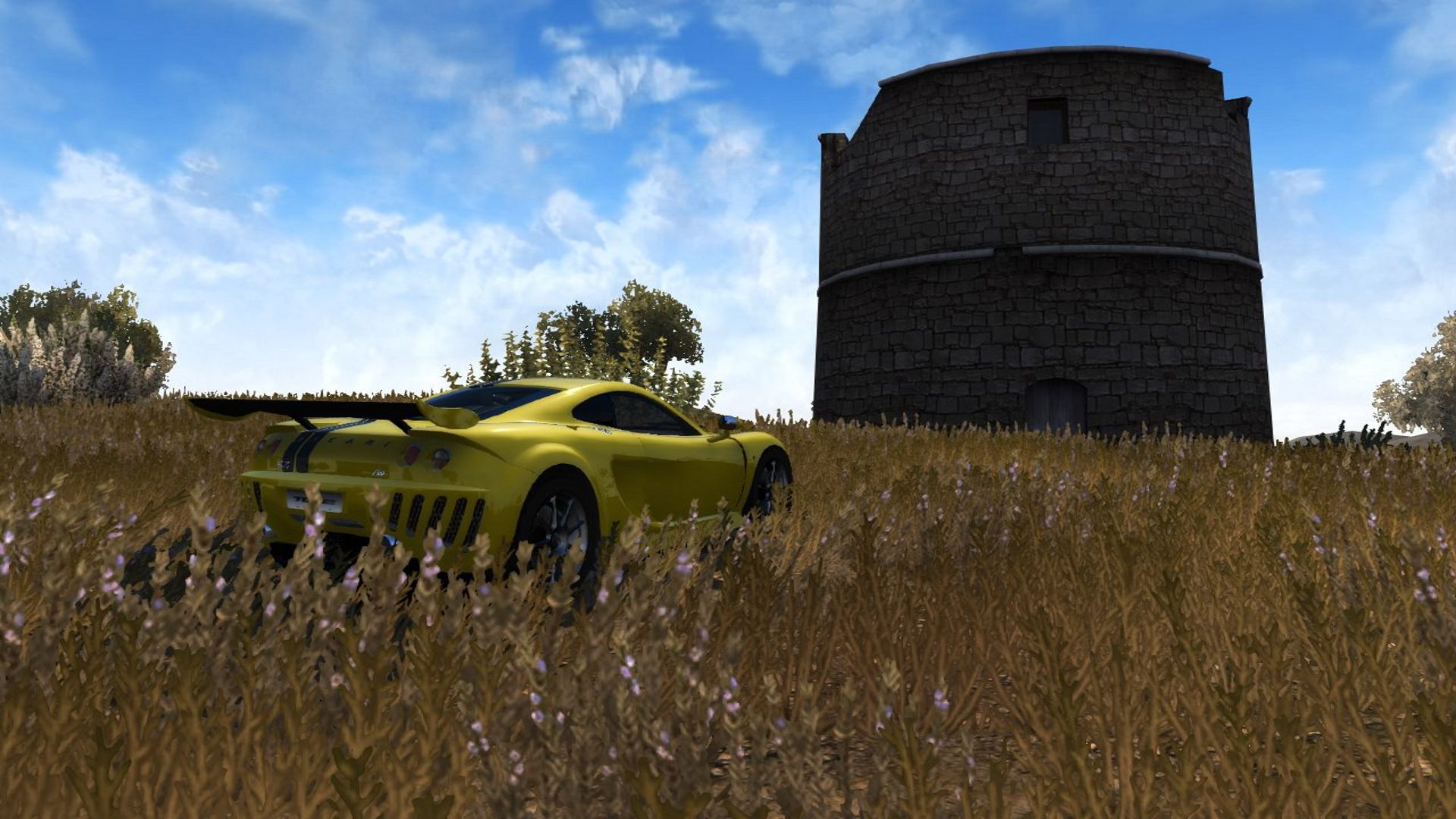 A Wild Ascari Has Found A Watchtower