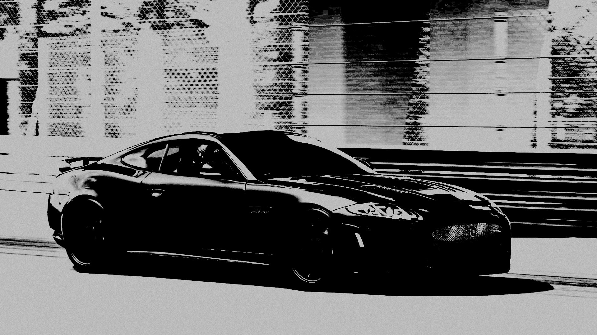 ANM4_B&W1.jpg