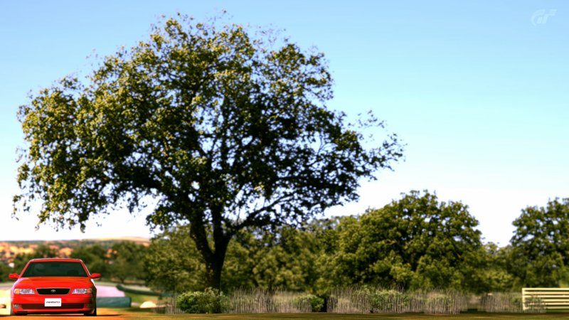 Ascari - Circuit complet.jpg