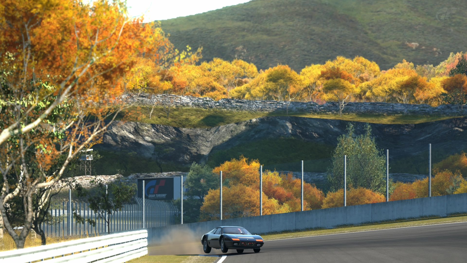 Autumn Ring_15