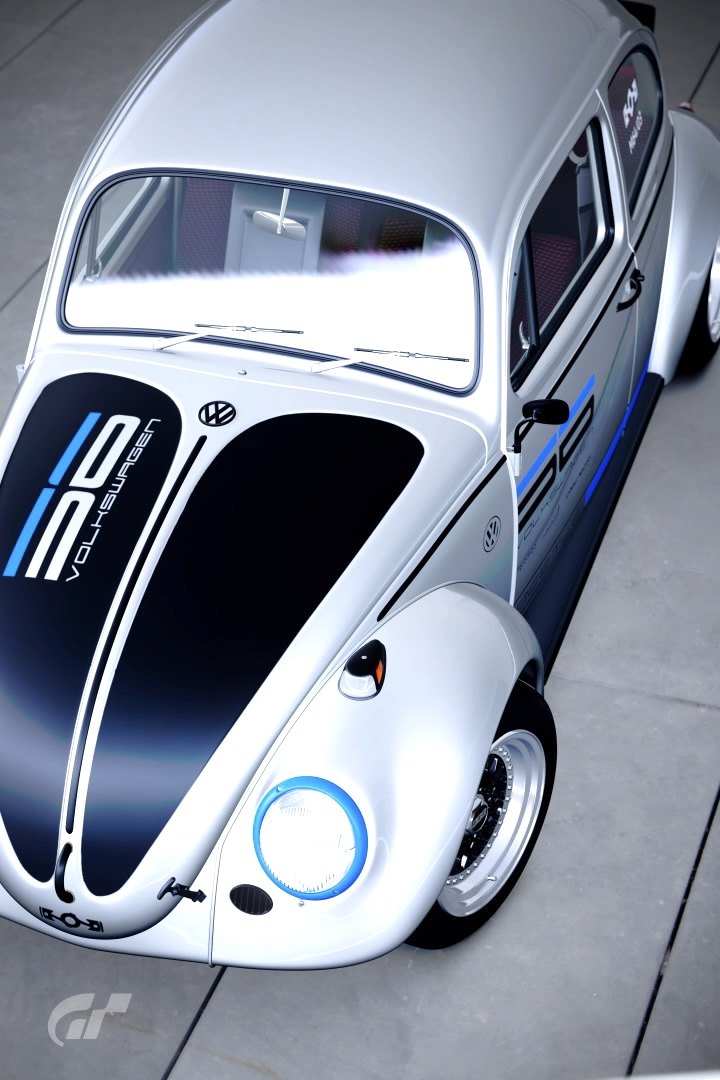 Beetle No.56_roof