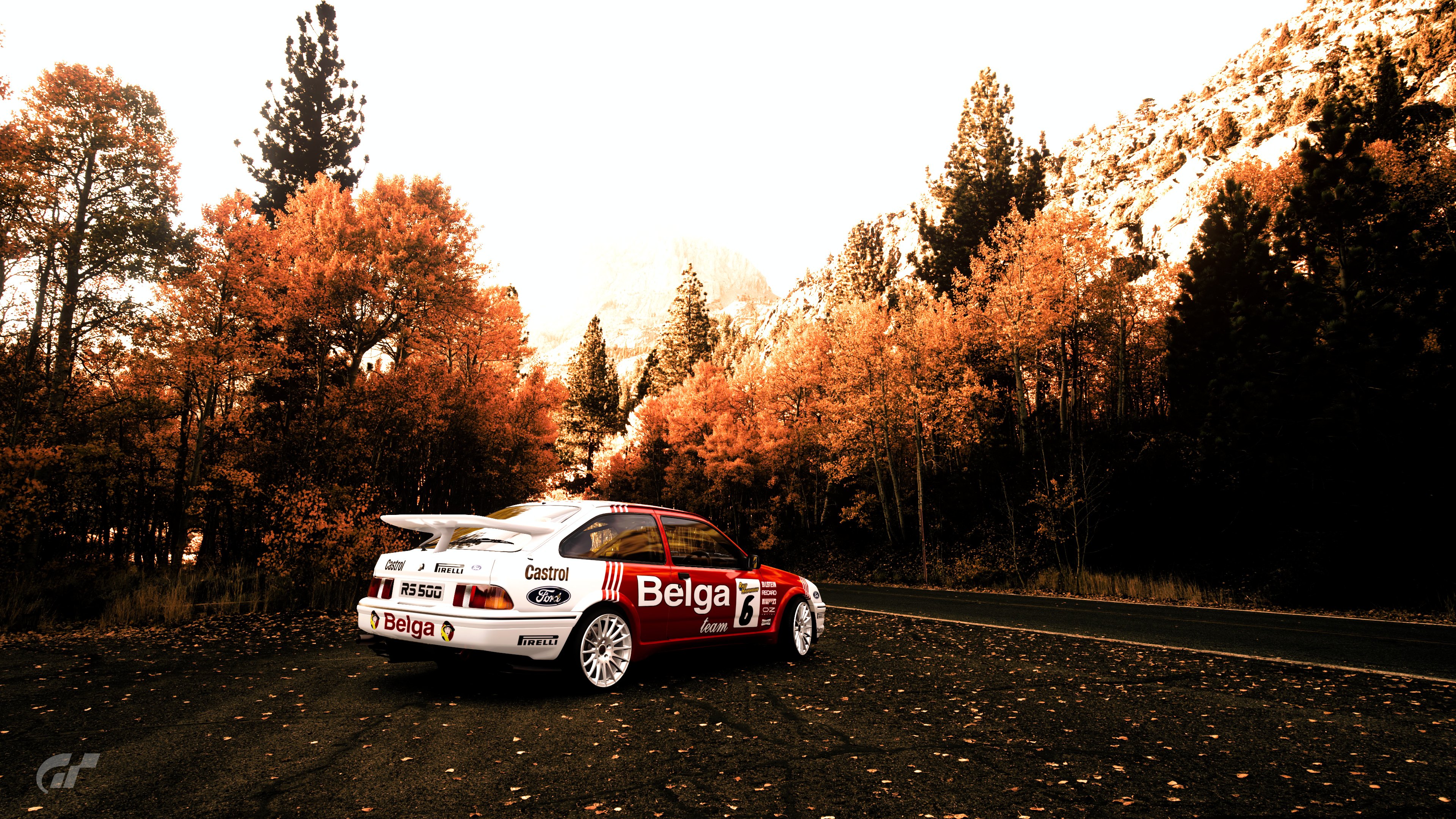 Belga Ford Sierra 2.jpg