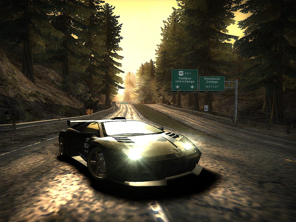 Black Bull