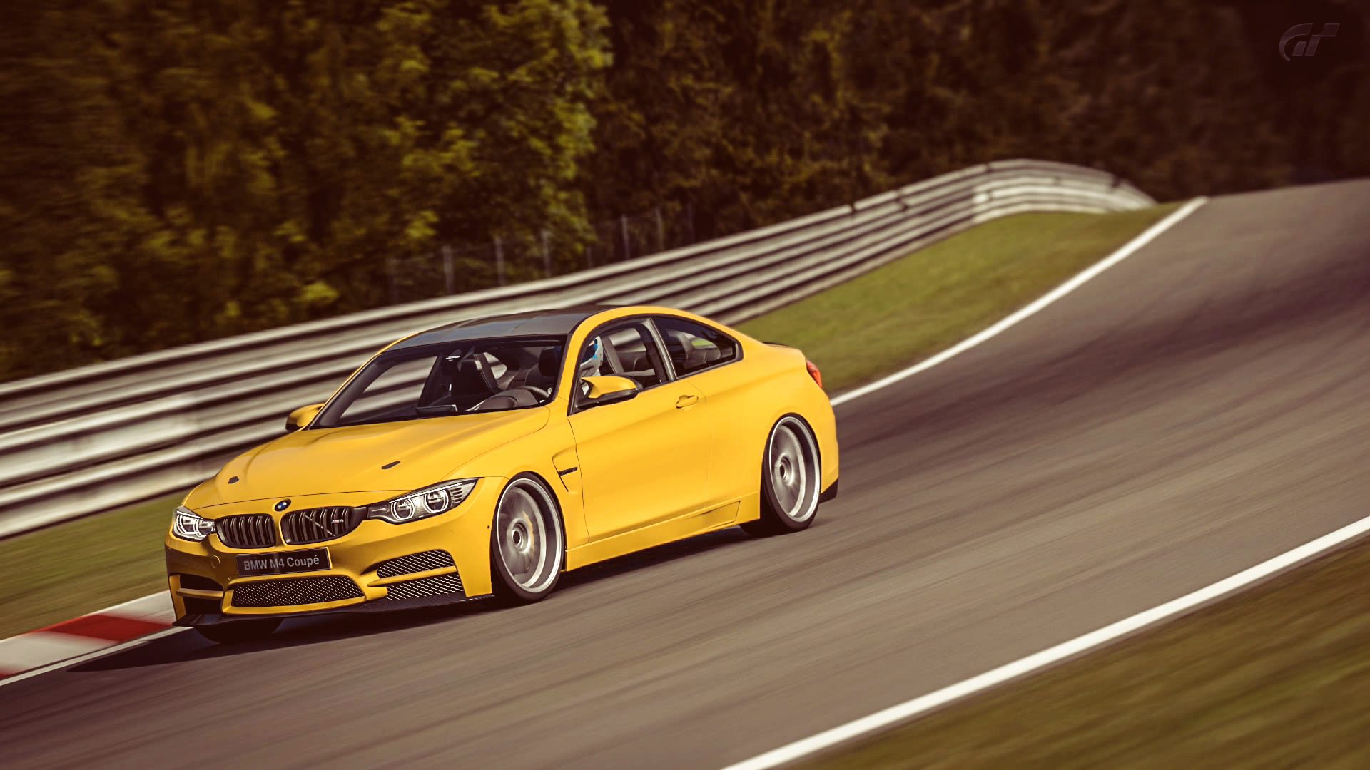 BMW_M4_Nurb_1.jpg