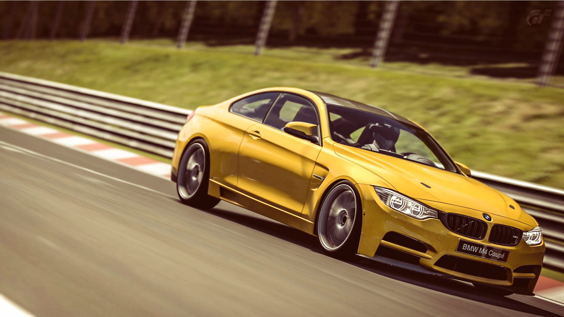 BMW_M4_Nurb_11.jpg