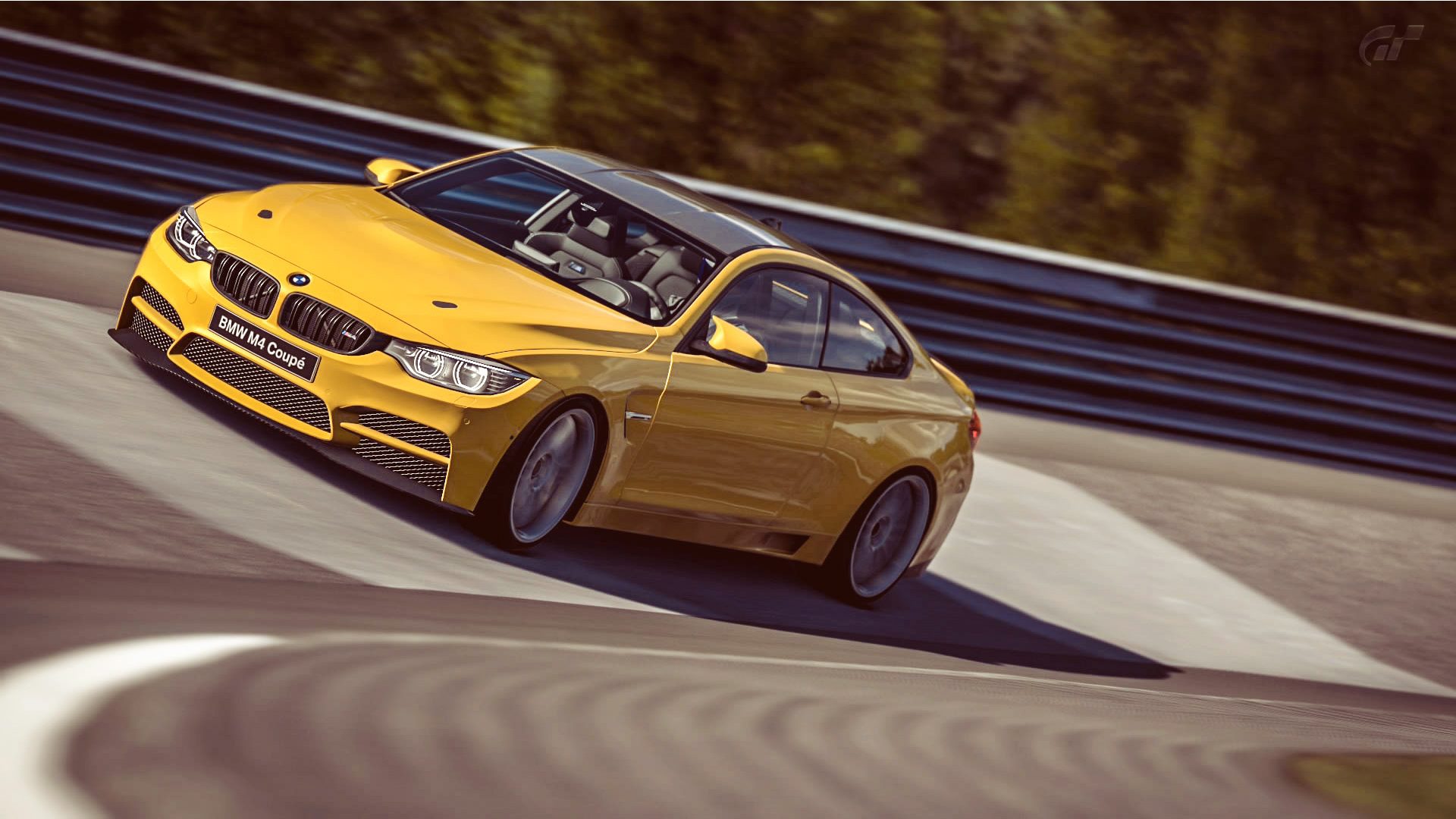 BMW_M4_Nurb_13.jpg