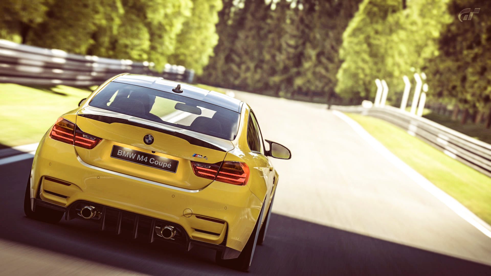 BMW_M4_Nurb_5.jpg