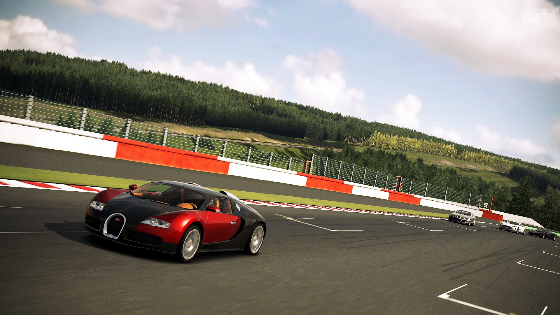 Bugatti Veyron on Spa_4.jpg
