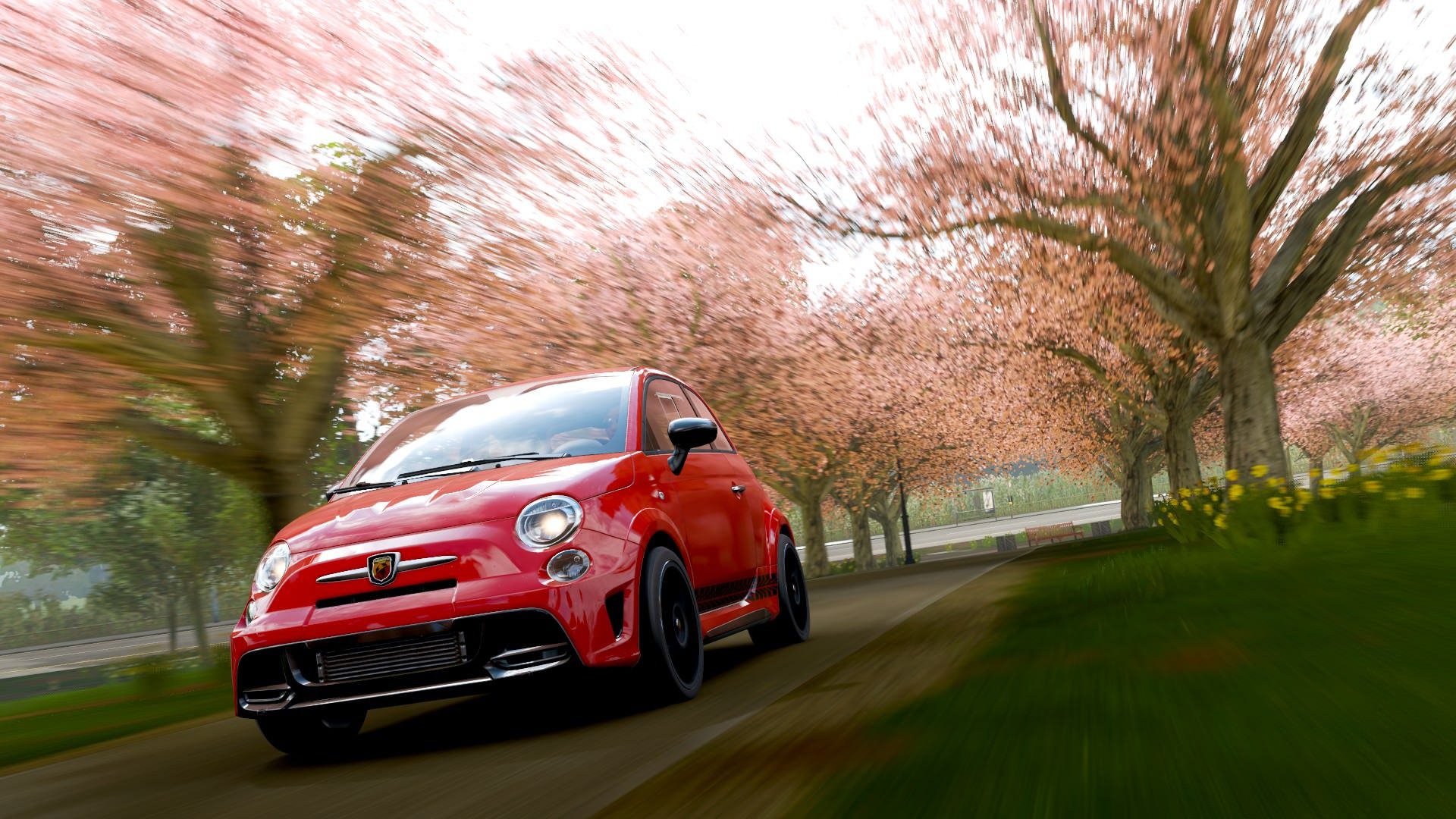 Cherry blossoms?