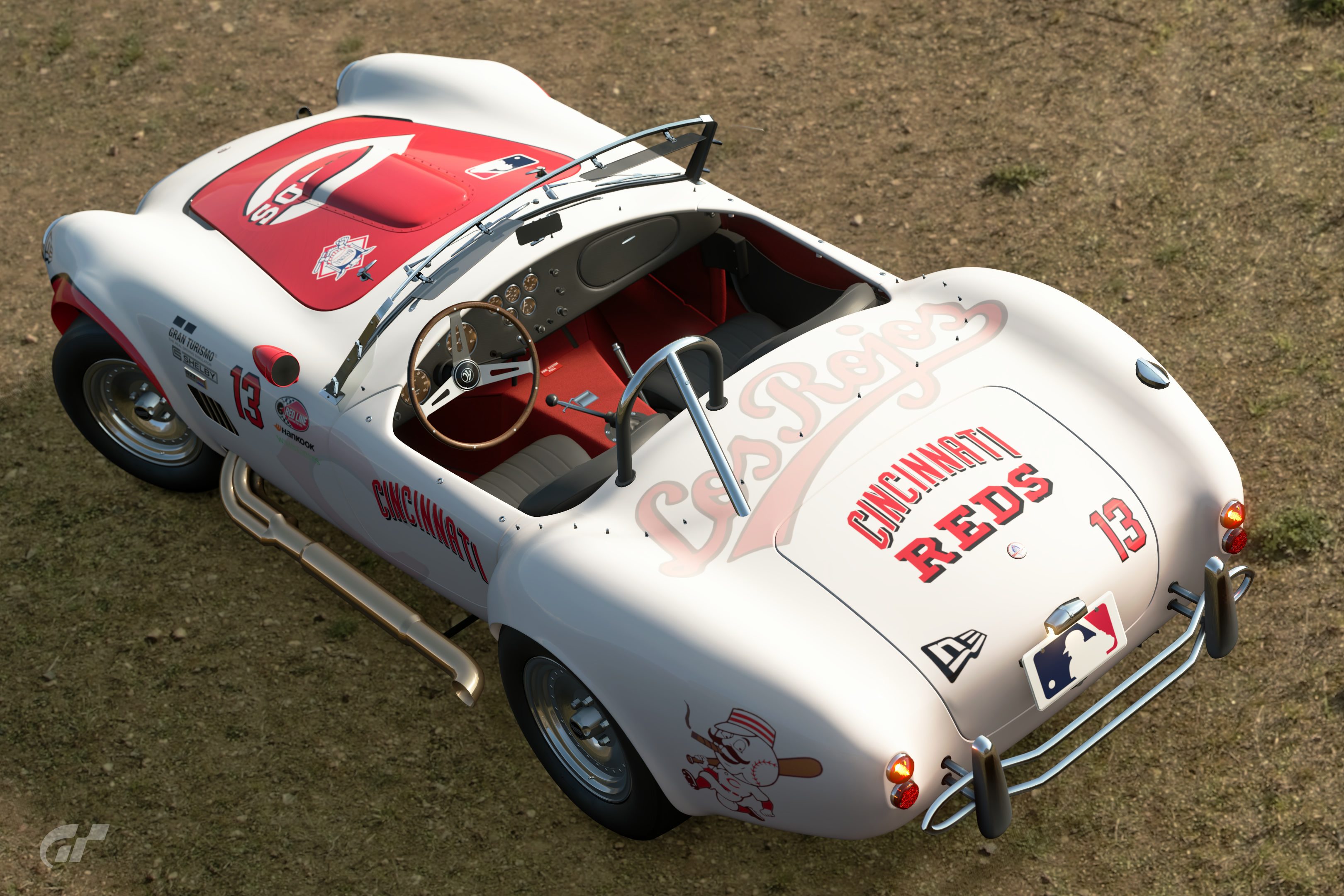 Cincinnati Reds Rear