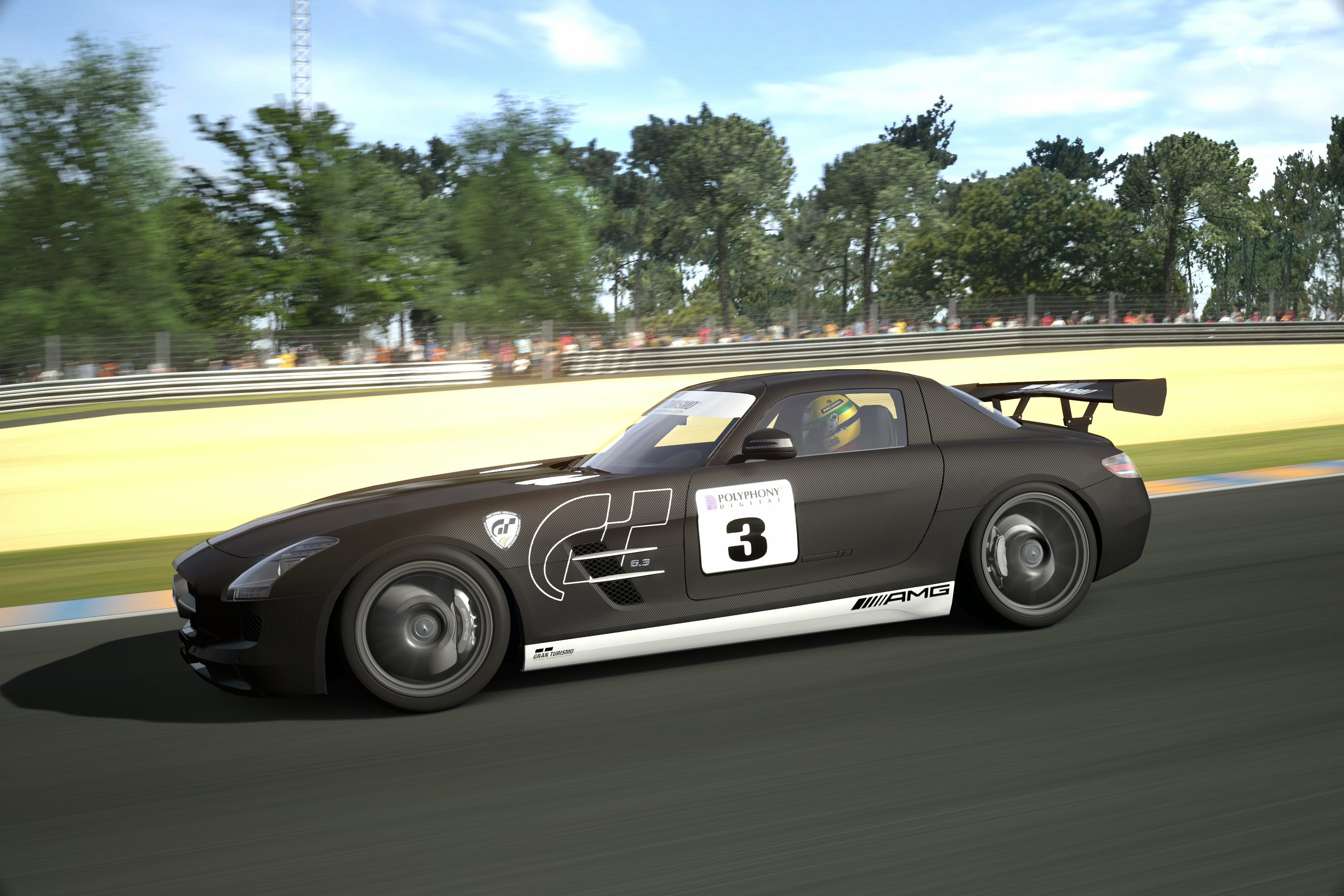 Circuit de la Sarthe 2009 (No Chicanes) _1.jpg