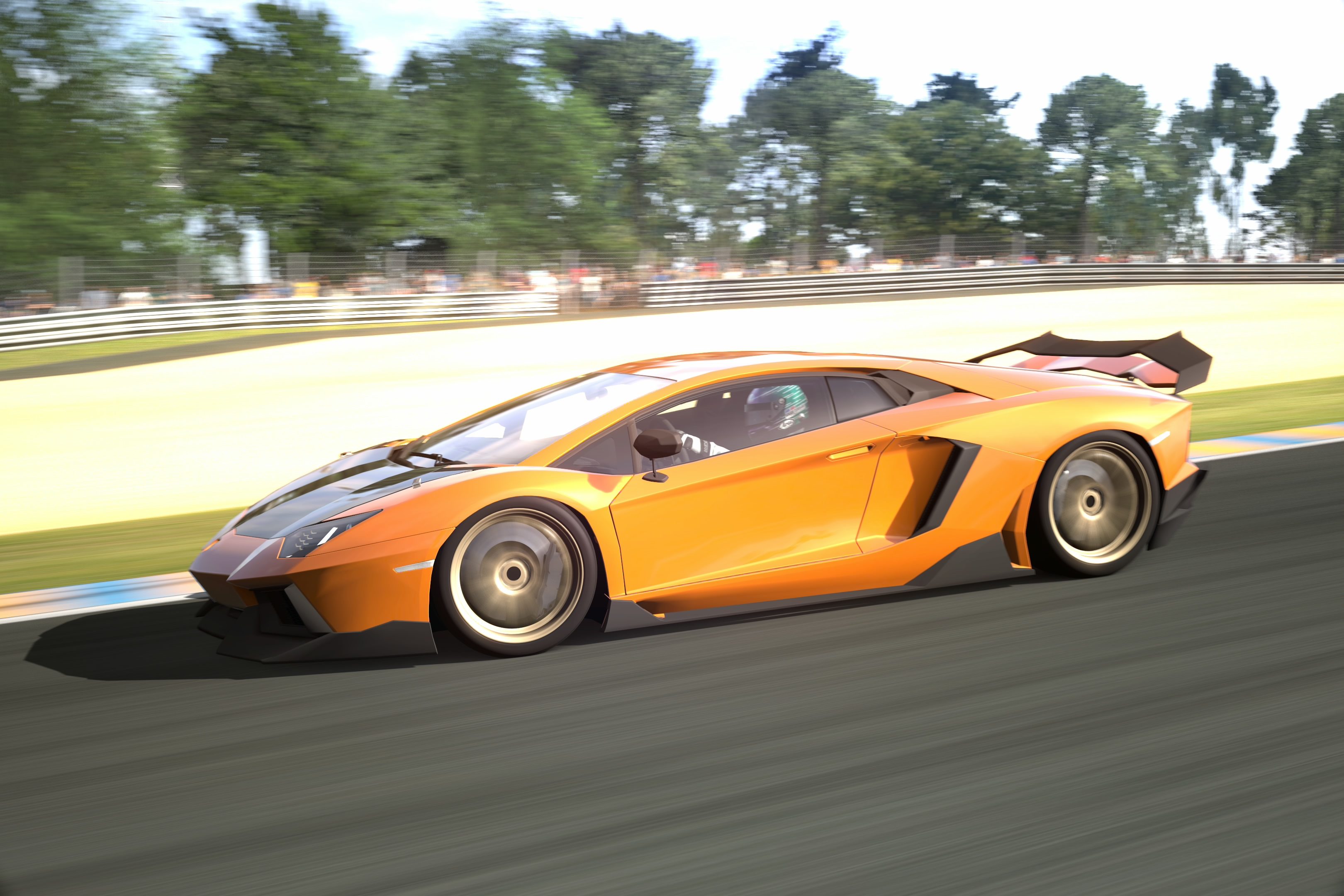 Circuit de la Sarthe 2009 (No Chicanes) _10.jpg