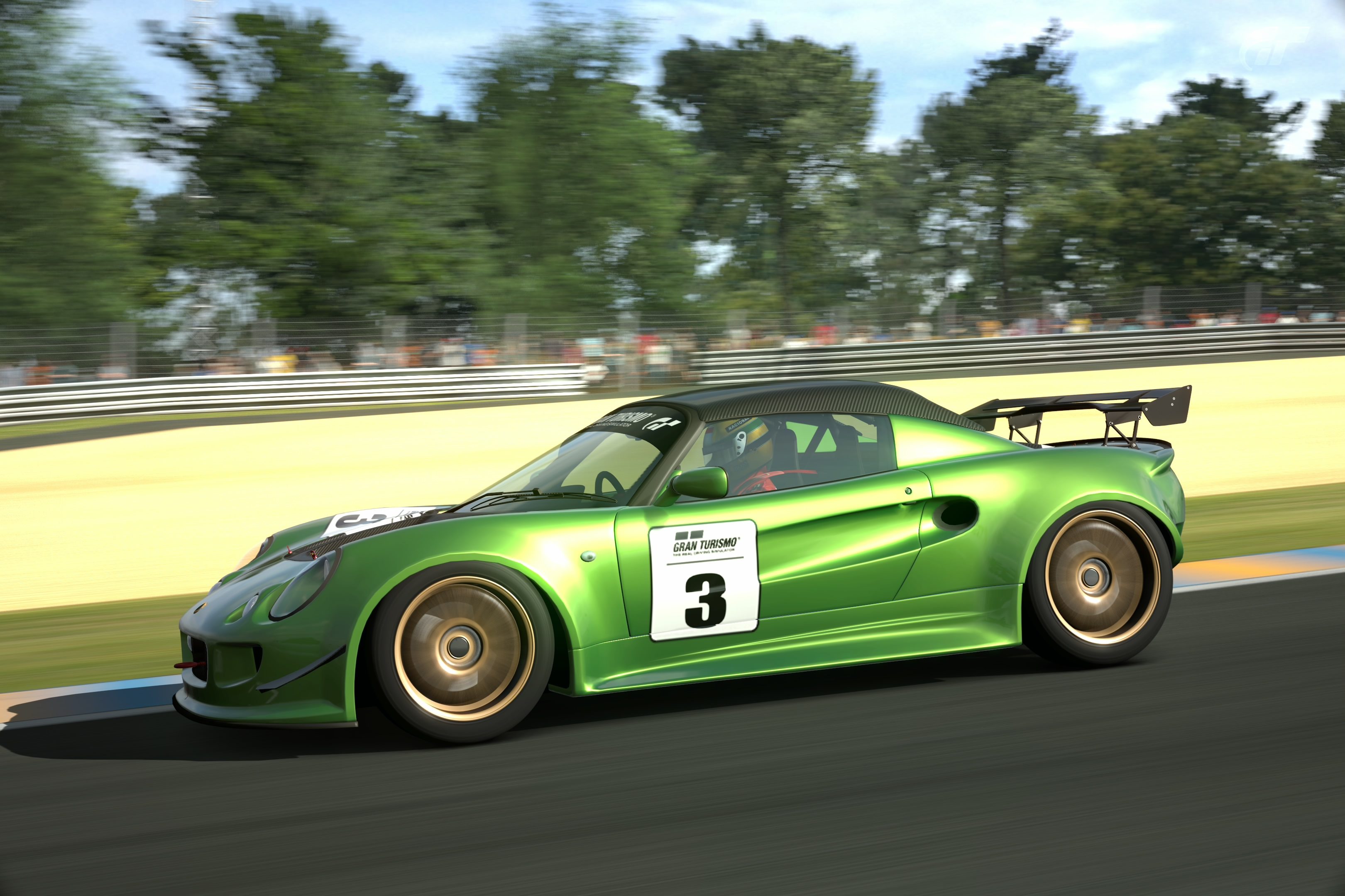 Circuit de la Sarthe 2009 (No Chicanes) _12.jpg