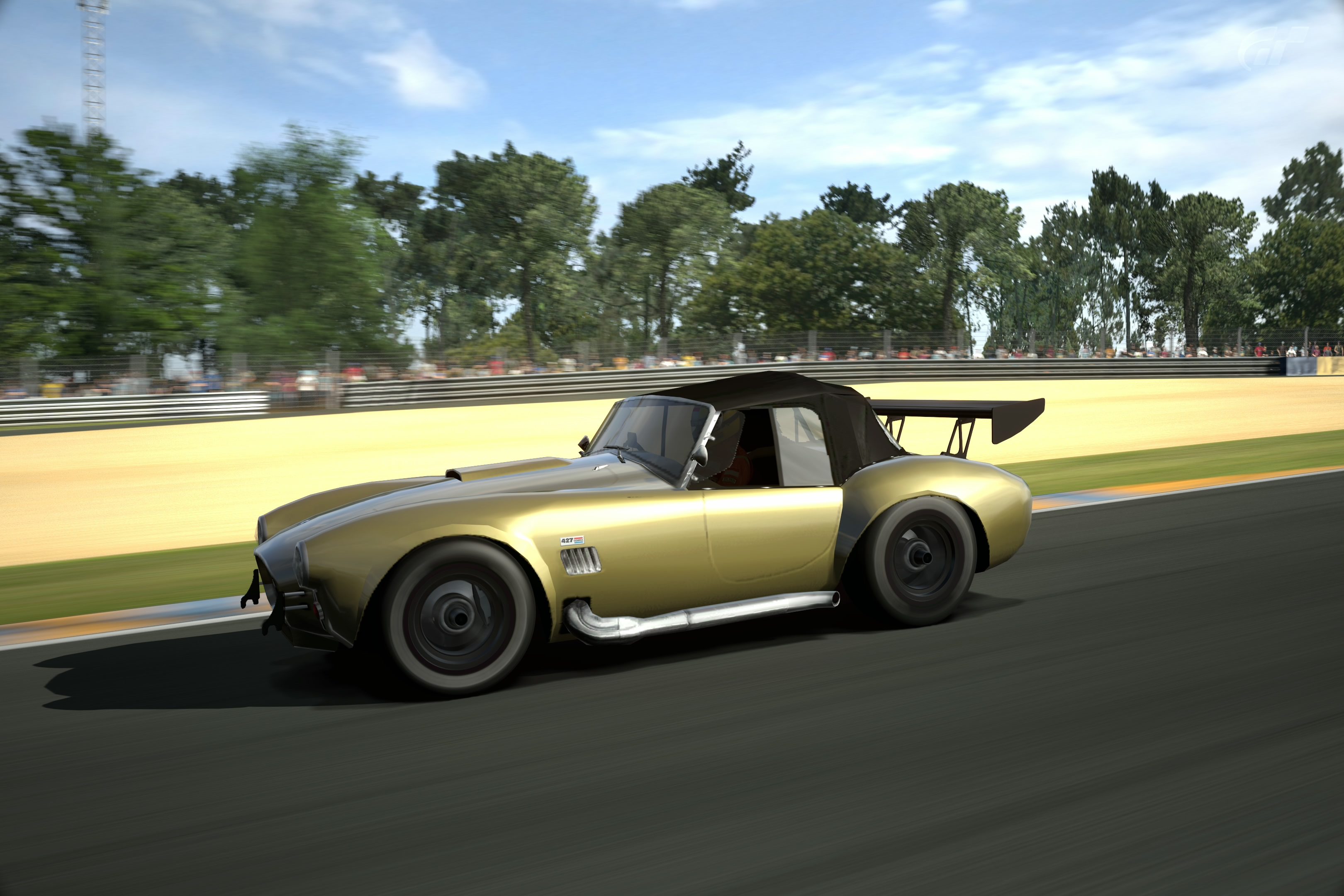 Circuit de la Sarthe 2009 (No Chicanes) _14.jpg
