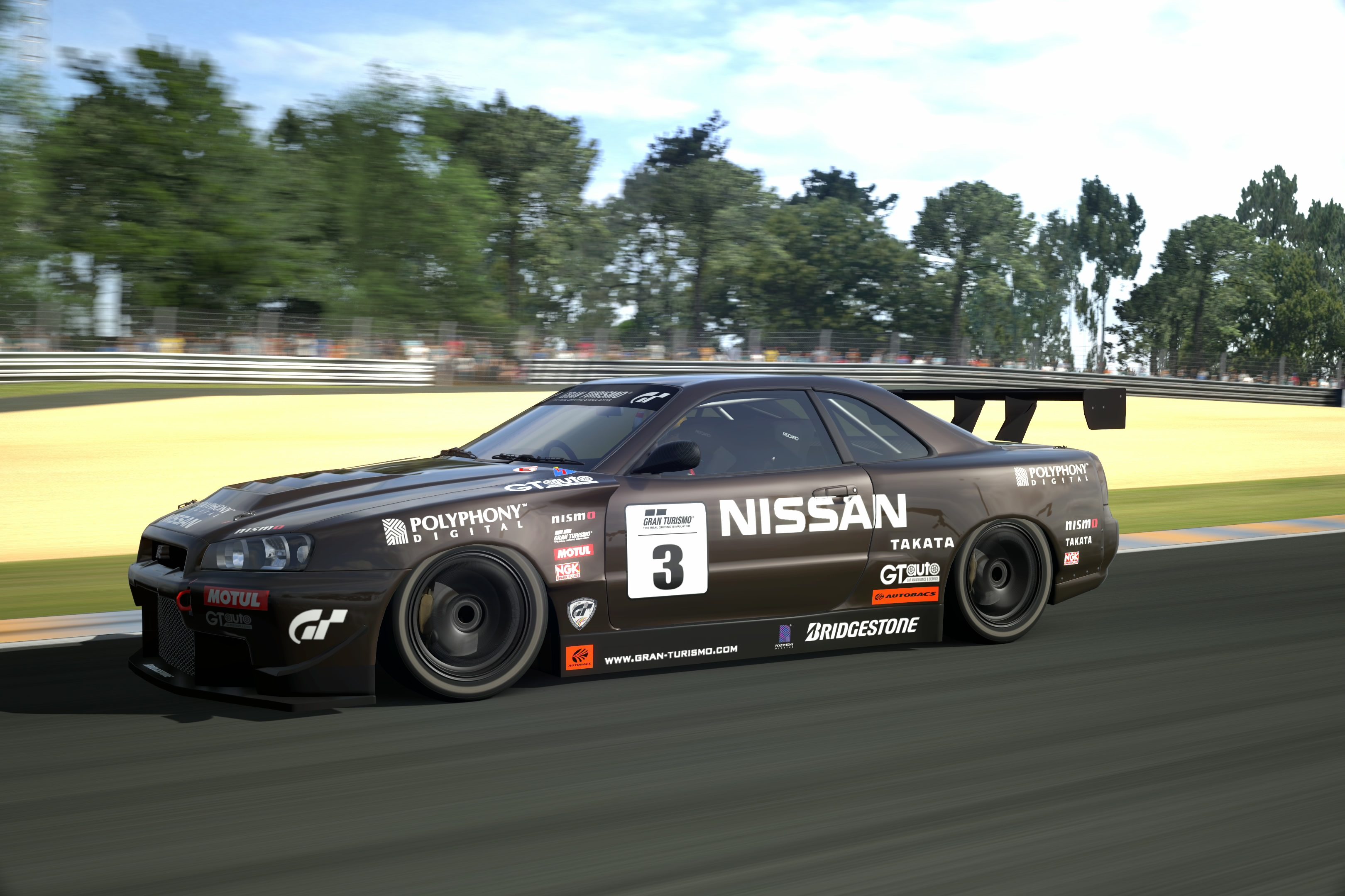 Circuit de la Sarthe 2009 (No Chicanes) _17.jpg