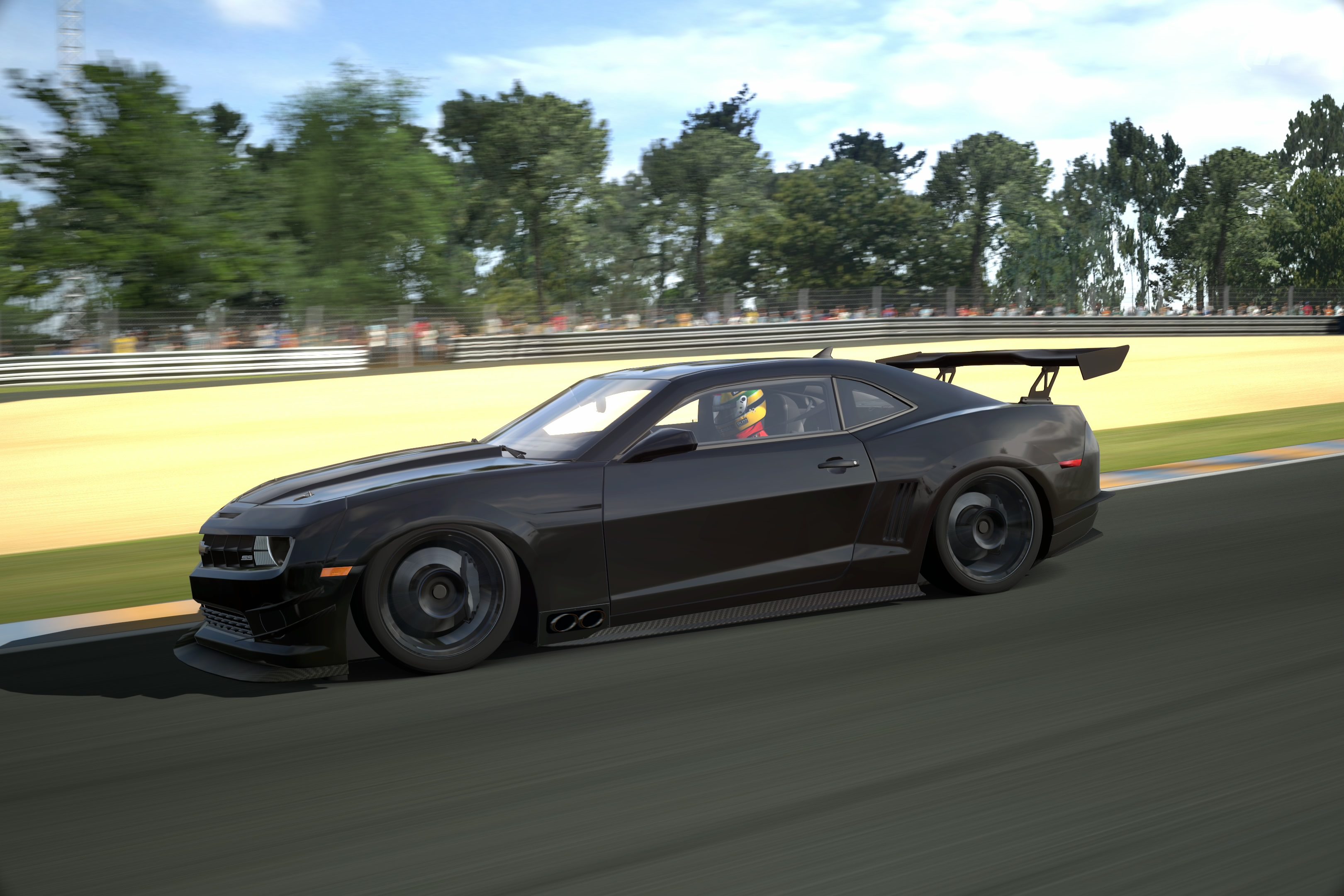 Circuit de la Sarthe 2009 (No Chicanes) _19.jpg