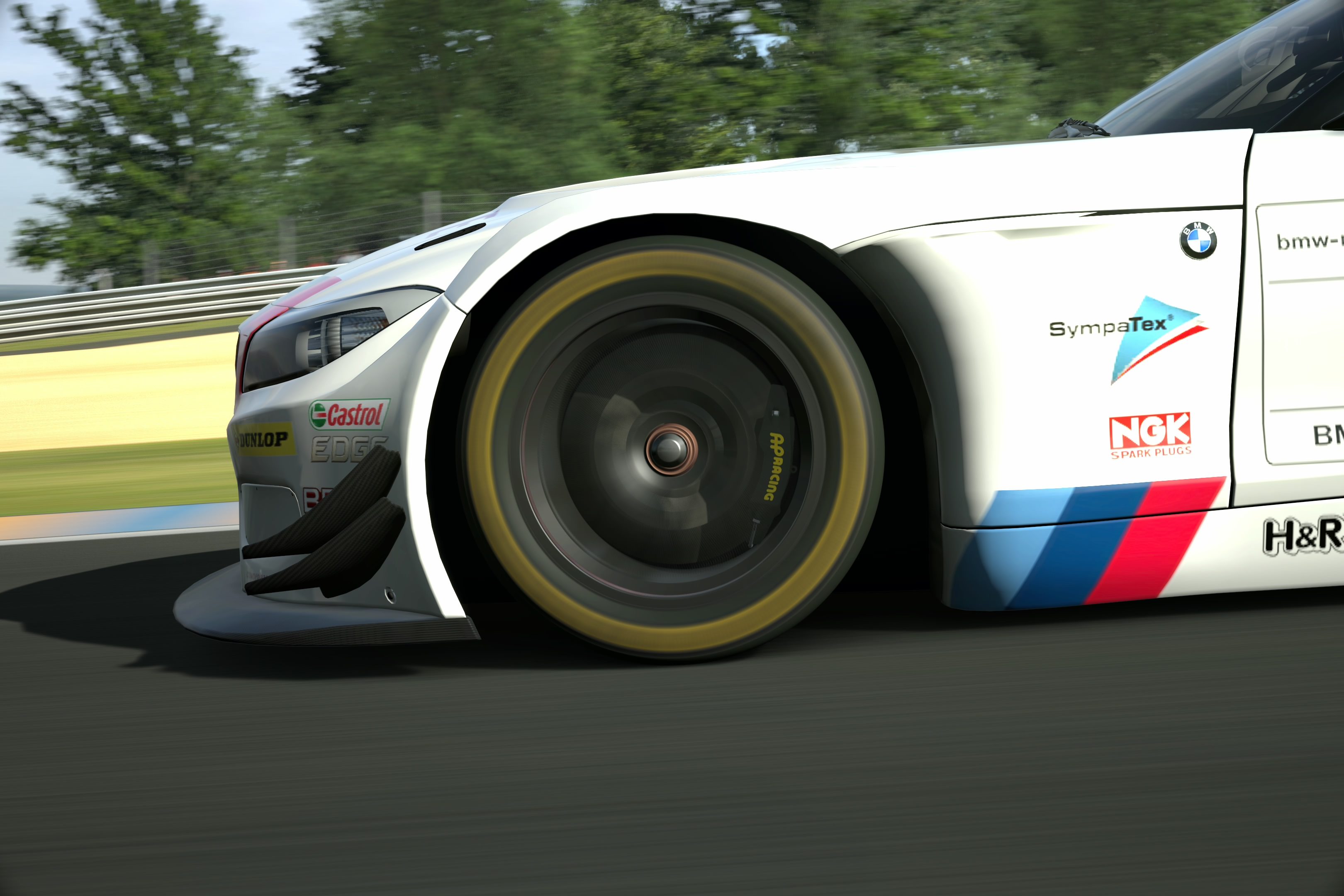 Circuit de la Sarthe 2009 (No Chicanes) _4.jpg