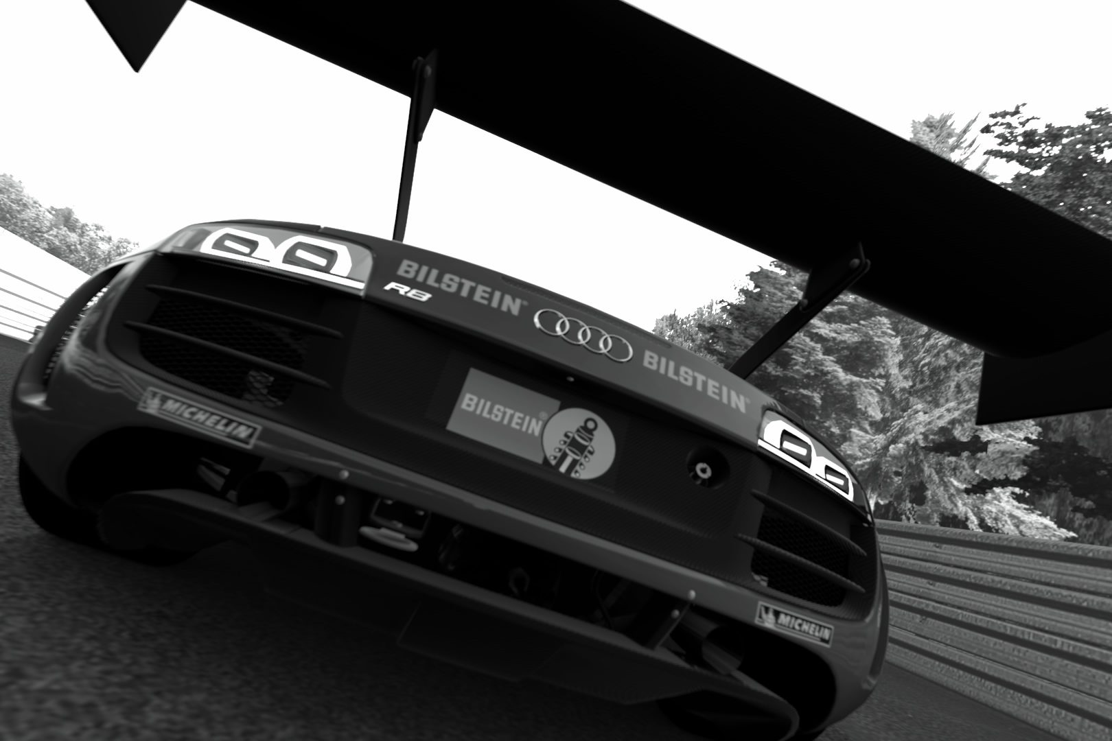 Circuit de la Sarthe 2009_2.jpg