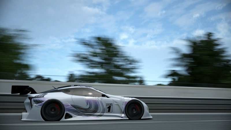 Circuit de la Sarthe 2013_1.jpg