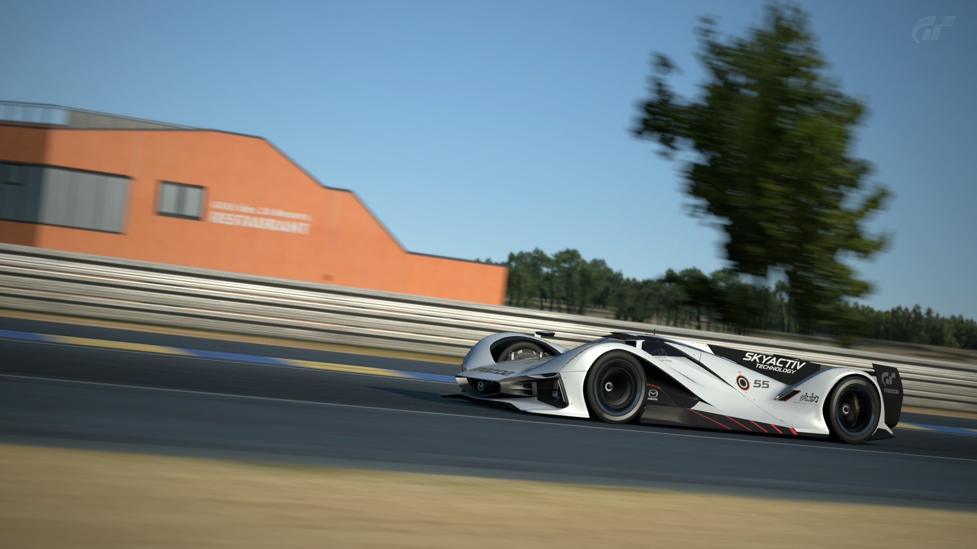 Circuit de la Sarthe 2013_1.jpg