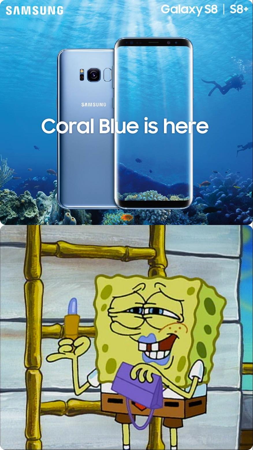 Coral Blue is here