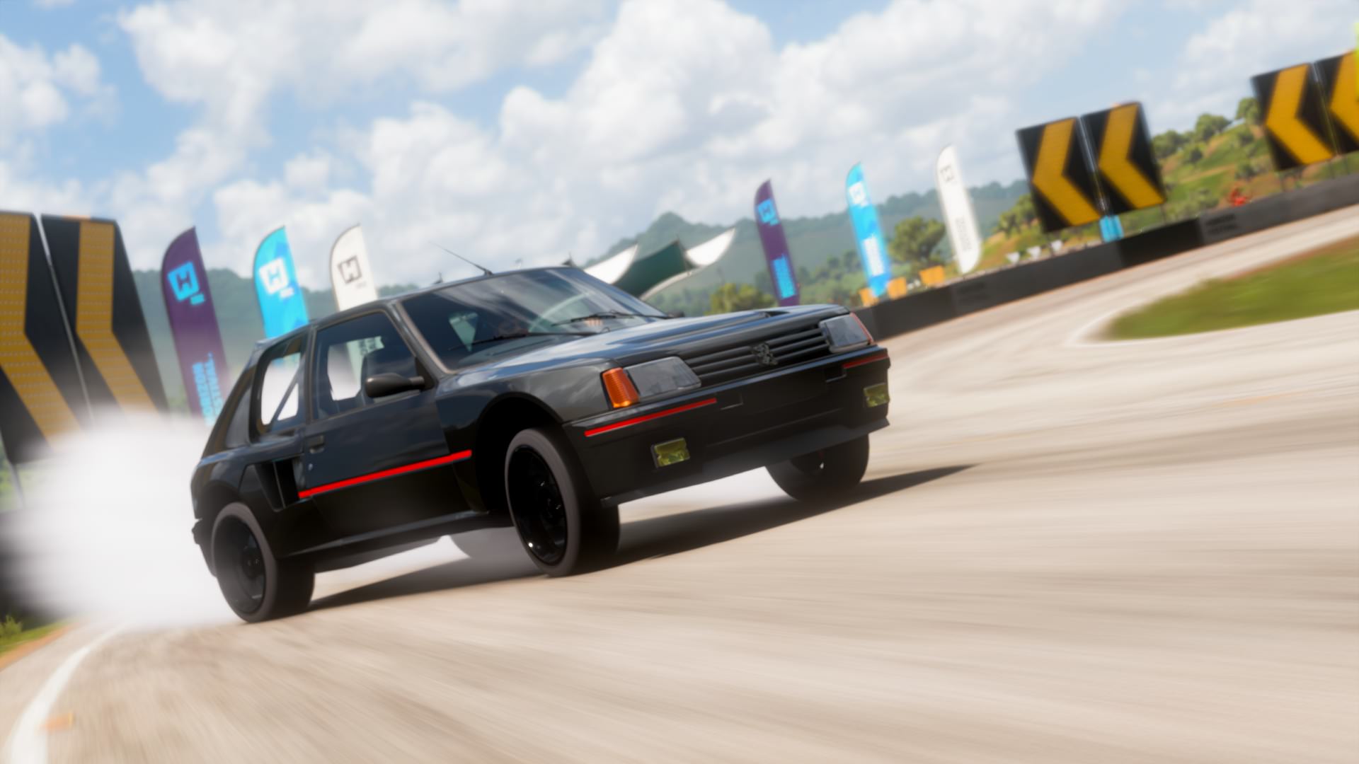 COTW 15: Wild lion