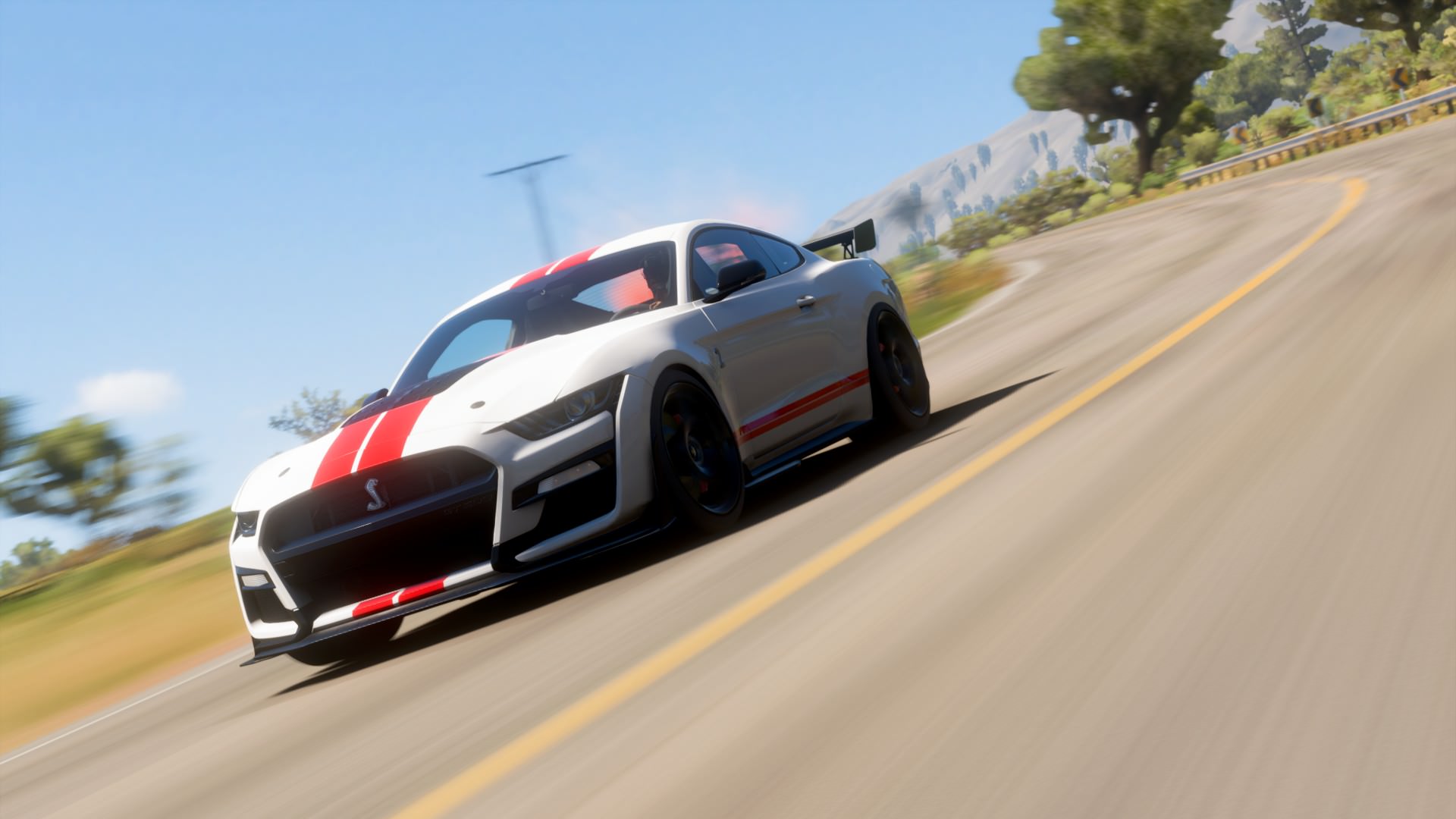 COTW 16: Snakebite
