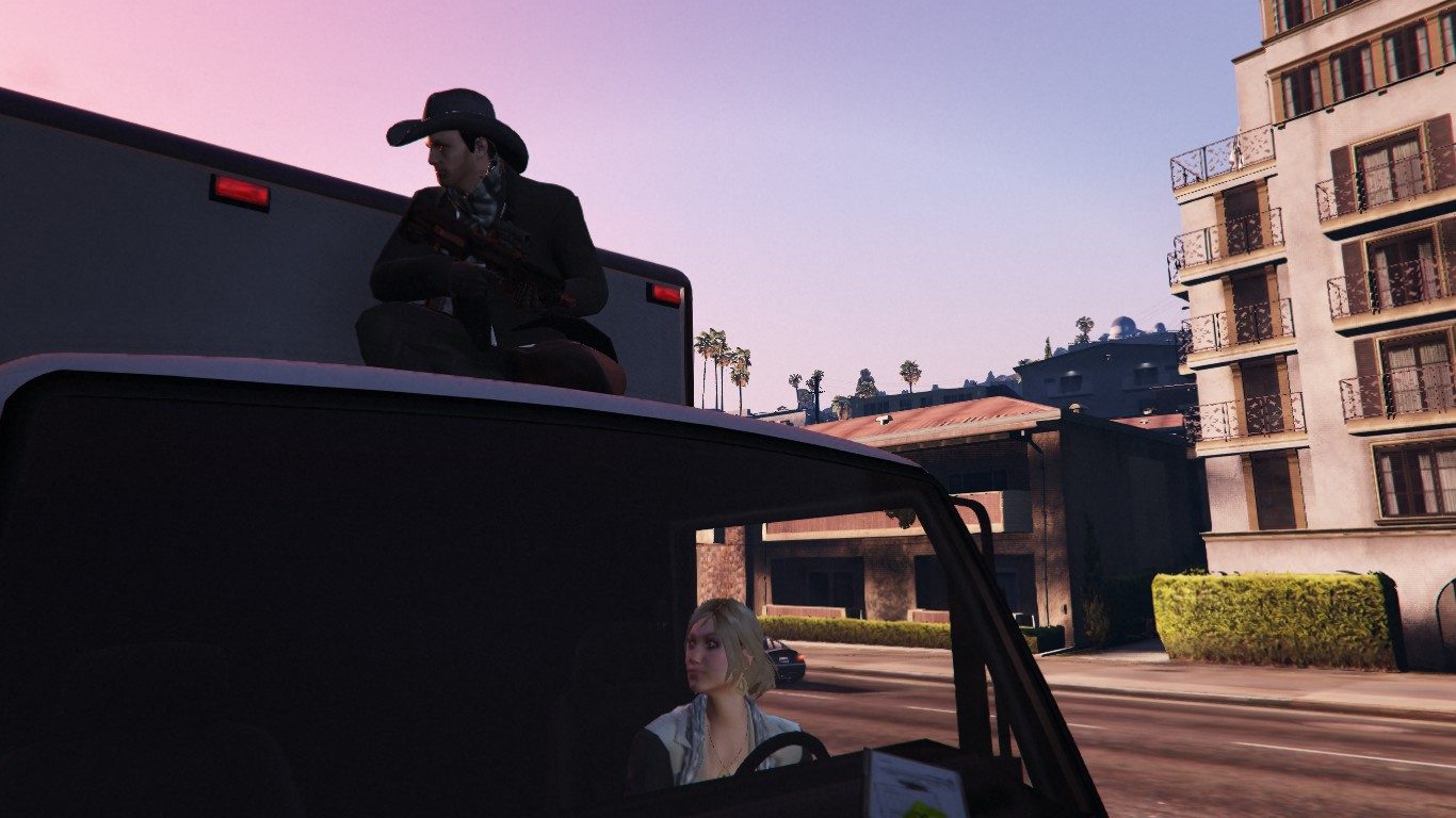 Cover on the Mule 1