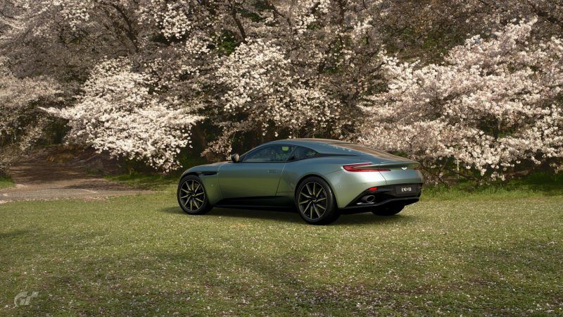 db11.jpg