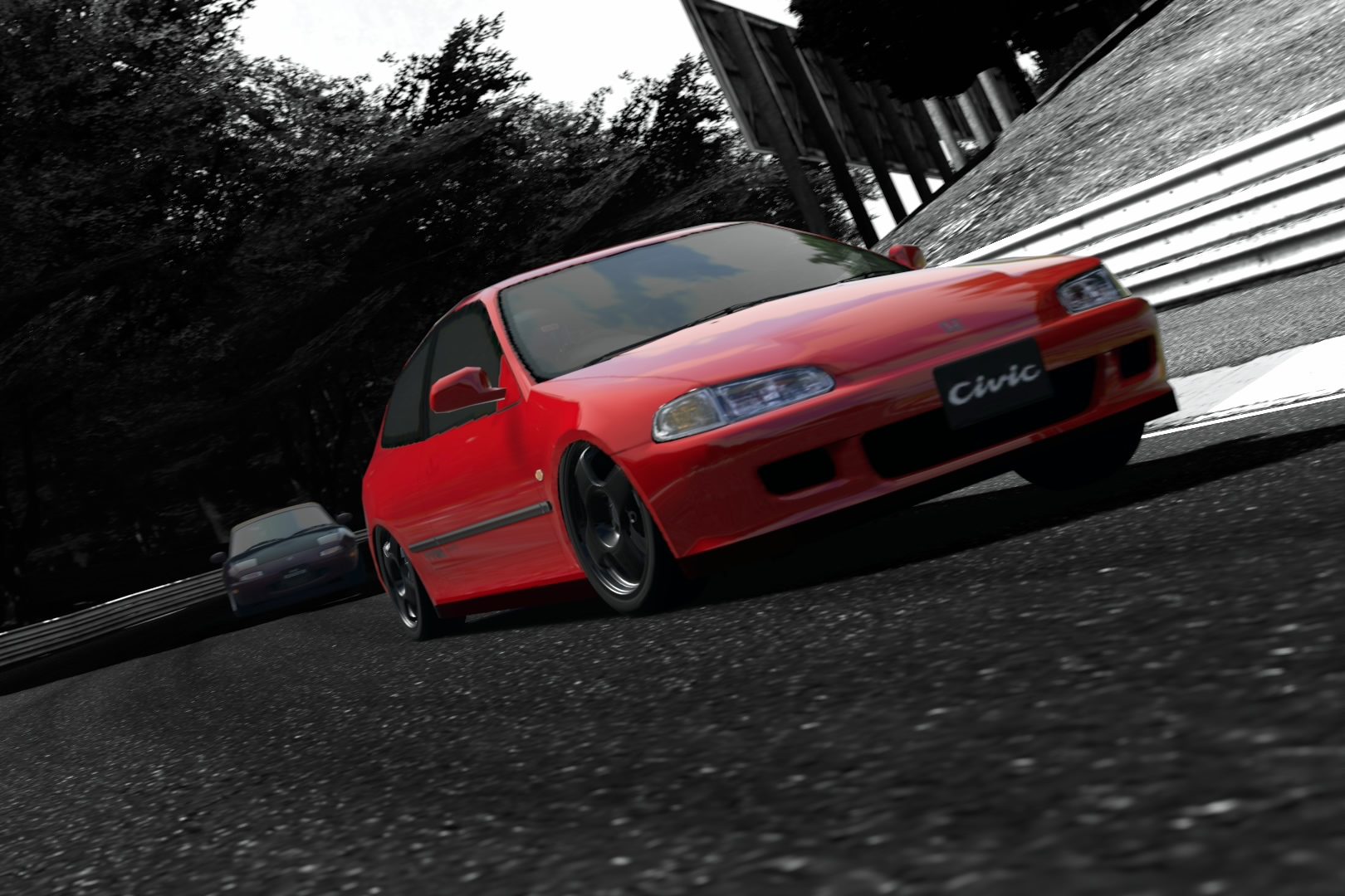 Deep Forest Raceway.jpg